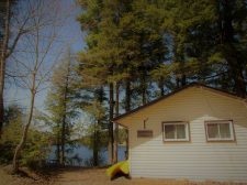 Cabin Eagle Exterior View