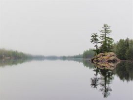 Calm Lake View