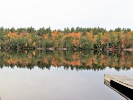 Fall At Avalon Eco Resort