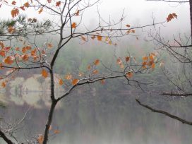 Fall Morning at Avalon Eco Resort