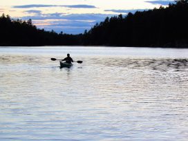 So Many Places to Paddle on Tyson Lake