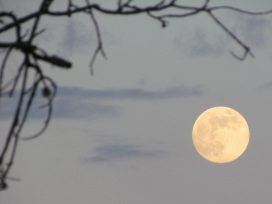 Moon Above Wolf Creek
