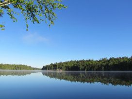 View from Dock at Cabin 2