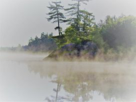 View From Dock at Cabins 3 and 4