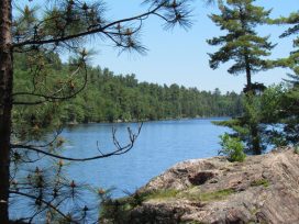 View of Tyson Lake