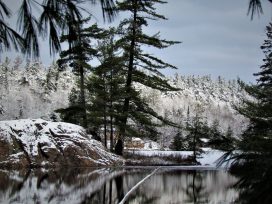 Winter at Avalon Eco Resort